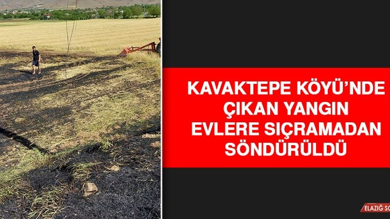 Kavaktepe Köyü'nde Çıkan Yangın Evlere Sıçramadan Söndürüldü