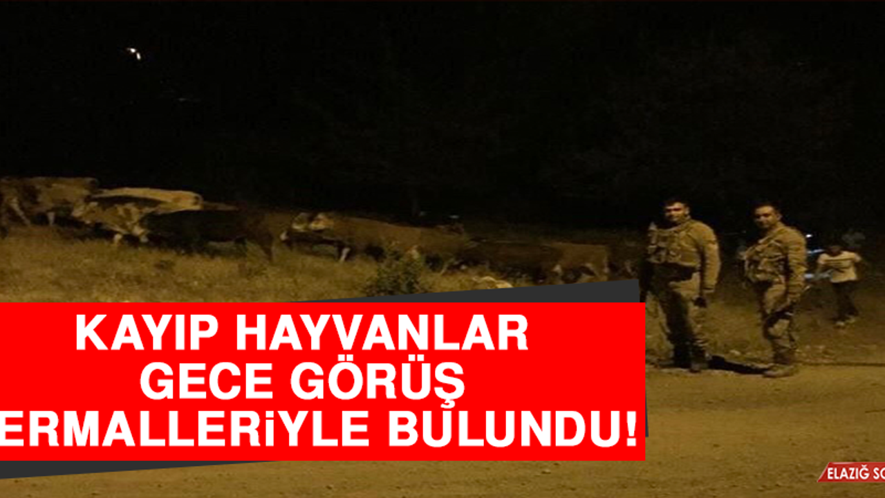 Kayıp Hayvanlar, Gece Görüş Termalleriyle Bulundu