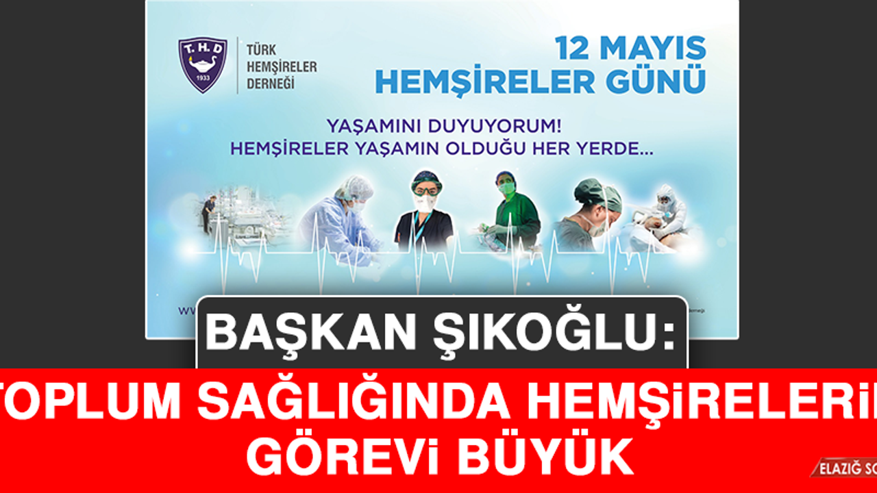 Şıkoğlu: Toplum Sağlığında Hemşirelerin Görevi Büyük
