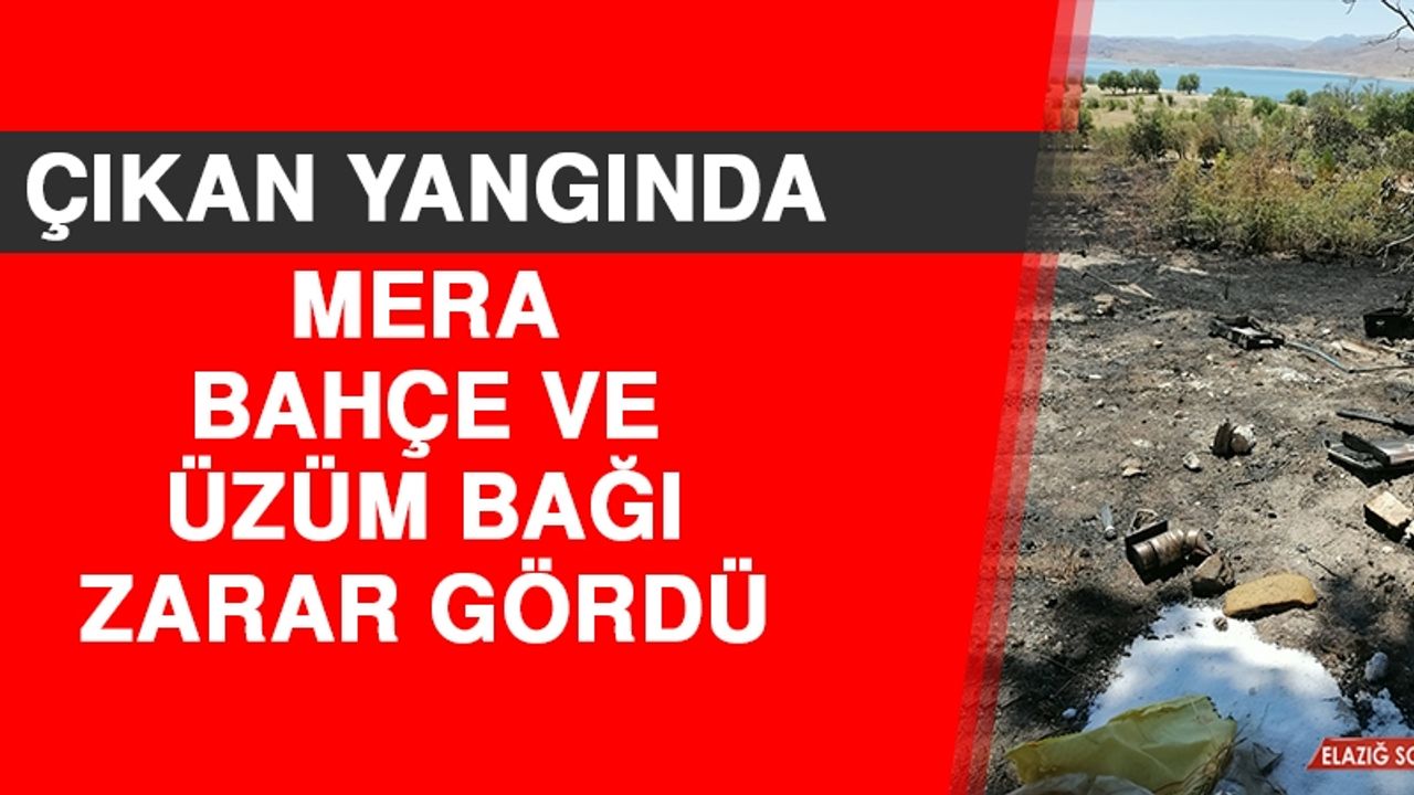 Çıkan Yangında Mera, Bahçe ve Üzüm Bağı Zarar Gördü
