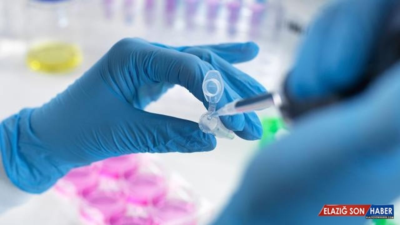 Kanada'da Ağızda Eriyen Aşı Bantları Üzerinde Çalışılıyor