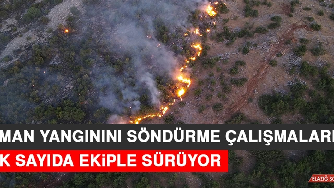 Orman Yangınını Söndürme Çalışmaları Çok Sayıda Ekiple Sürüyor