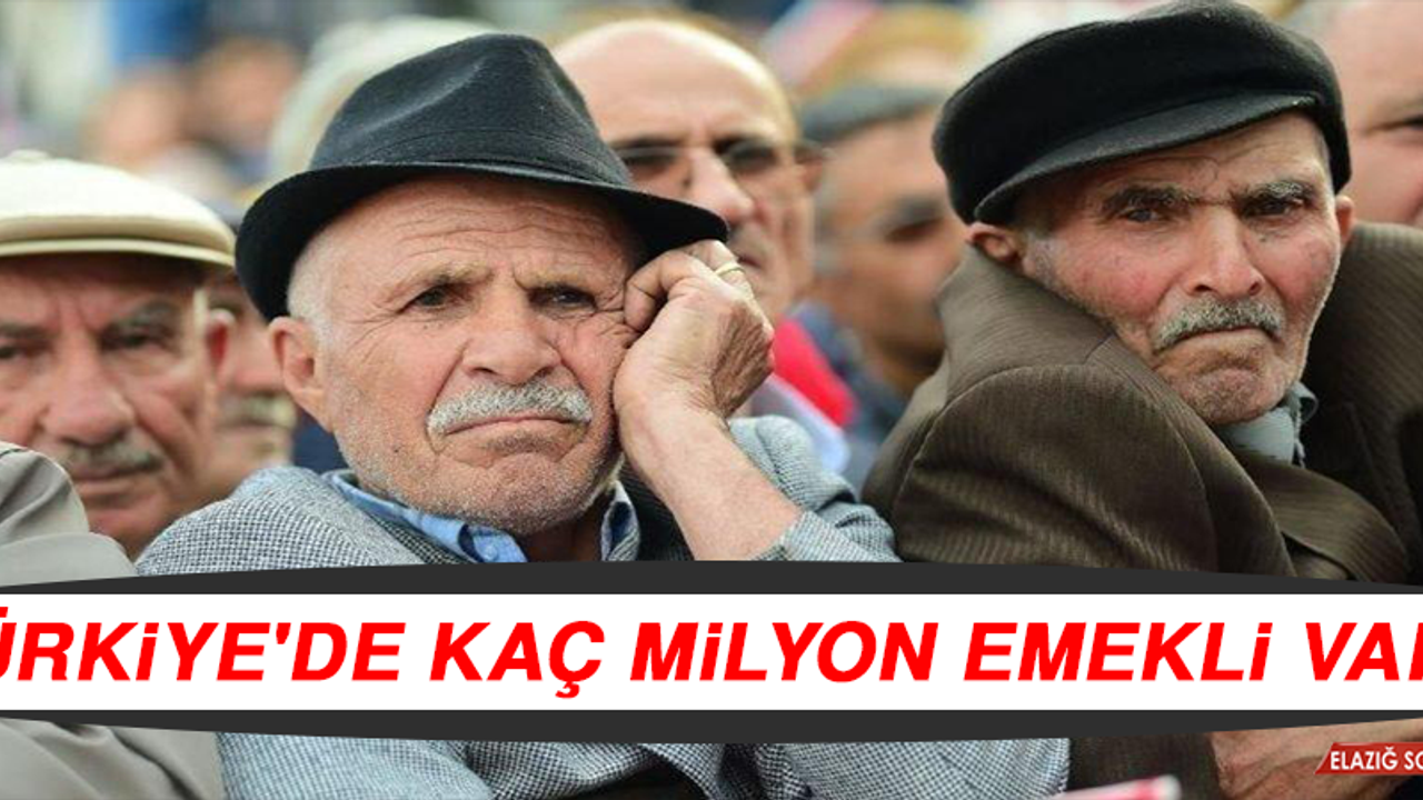Türkiye'de Kaç Milyon Emekli Var?