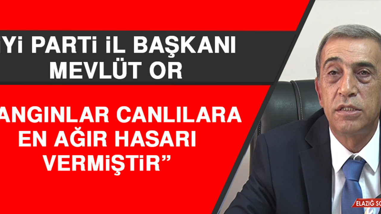 Başkan Or: Yangınlar Canlılara En Ağır Hasarı Vermiştir