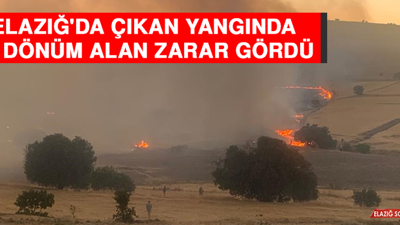 Elazığ'da Çıkan Yangında 60 Dönüm Alan Zarar Gördü