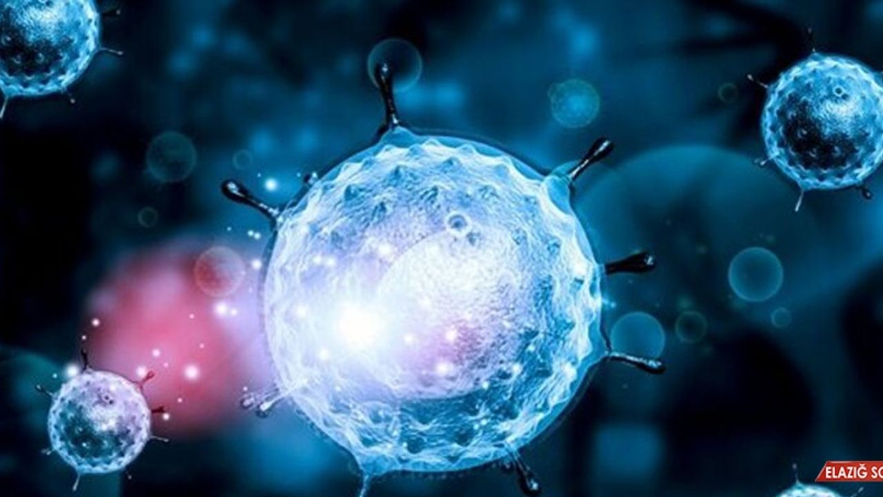 Hepatit Virüsü 18 Milyon Kişide Tespit Edildi