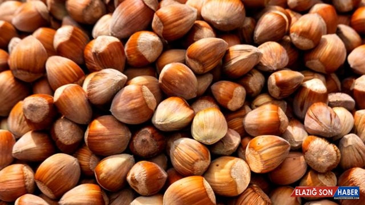 Türkiye'den 1 milyar dolarlık fındık ihracatı