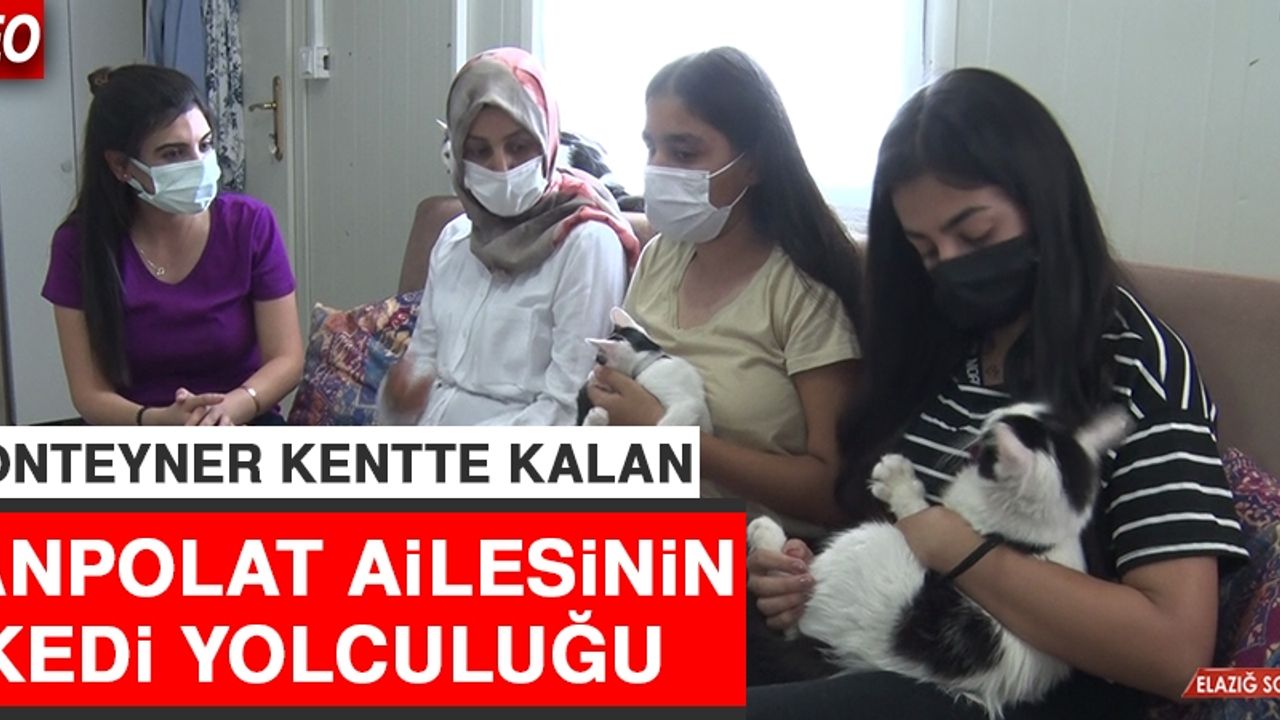 Konteyner Kentte Kalan Canpolat Ailesinin Kedi Yolculuğu