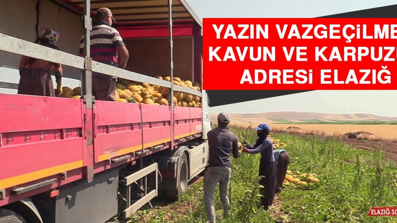Yazın Vazgeçilmezi Kavun ve Karpuzun Adresi Elazığ