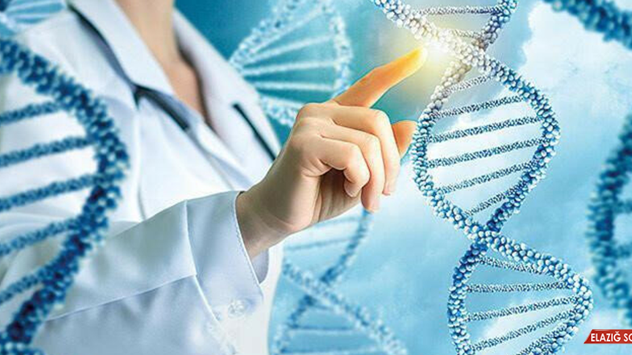 50'den fazla kanser türünü erken teşhis etmesi umulan kan testi deneniyor