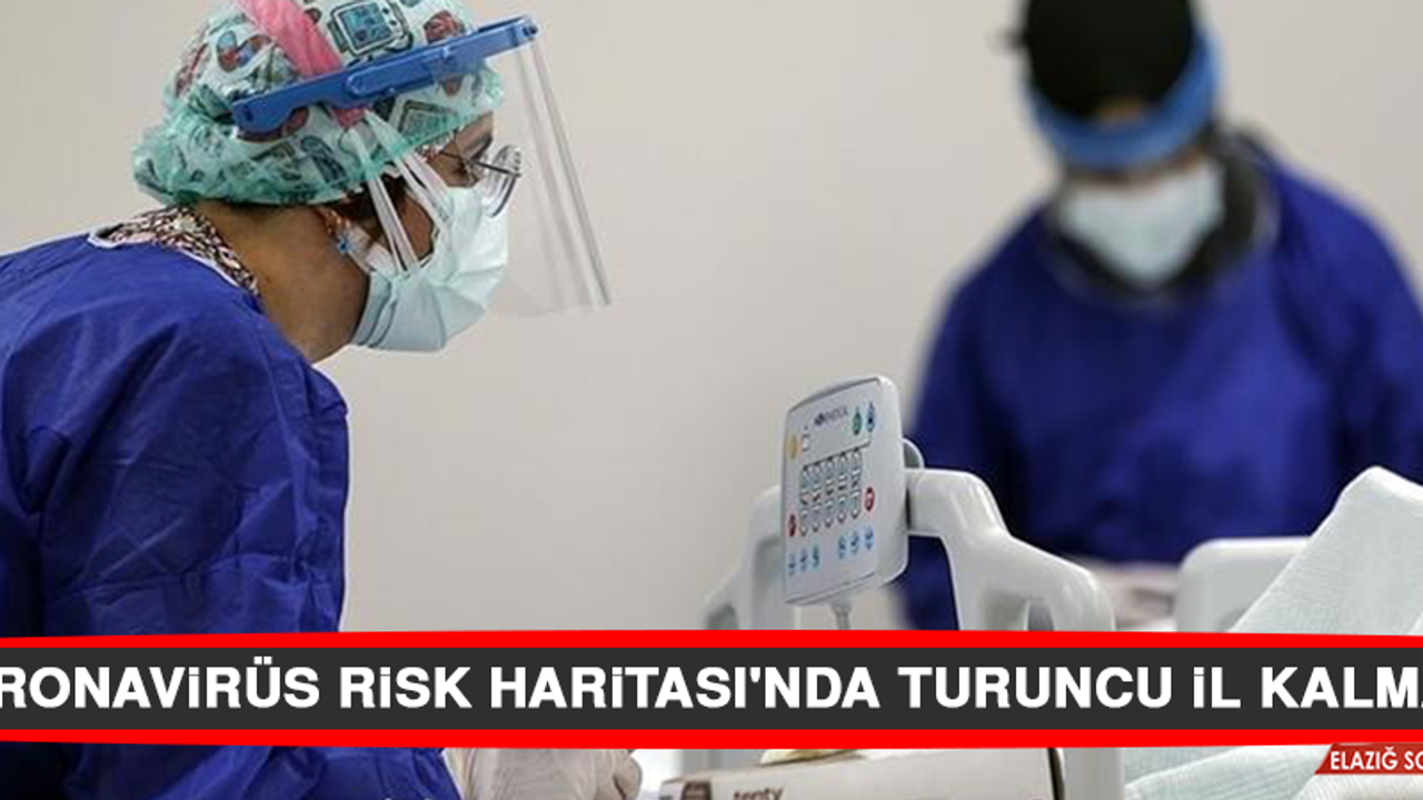 Koronavirüs Risk Haritası'nda Turuncu İl Kalmadı