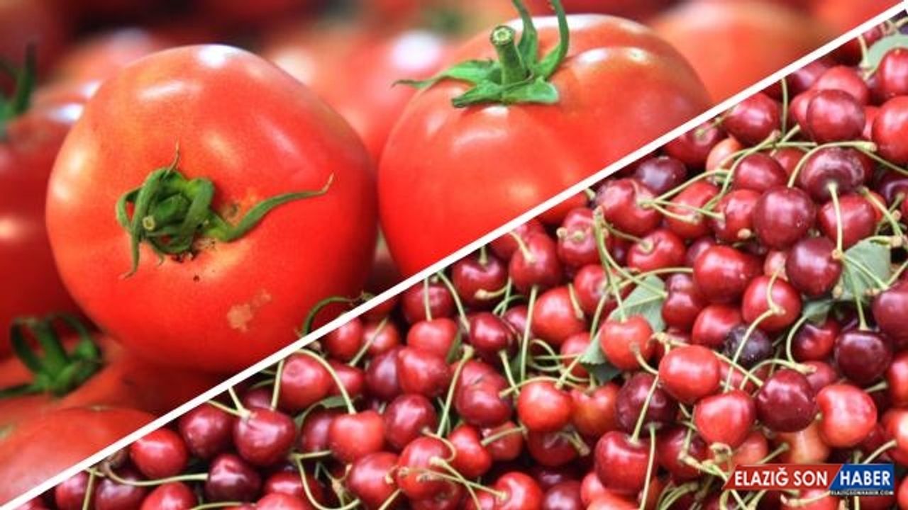 Meyve sebze ihracatında şampiyon kiraz ve domates