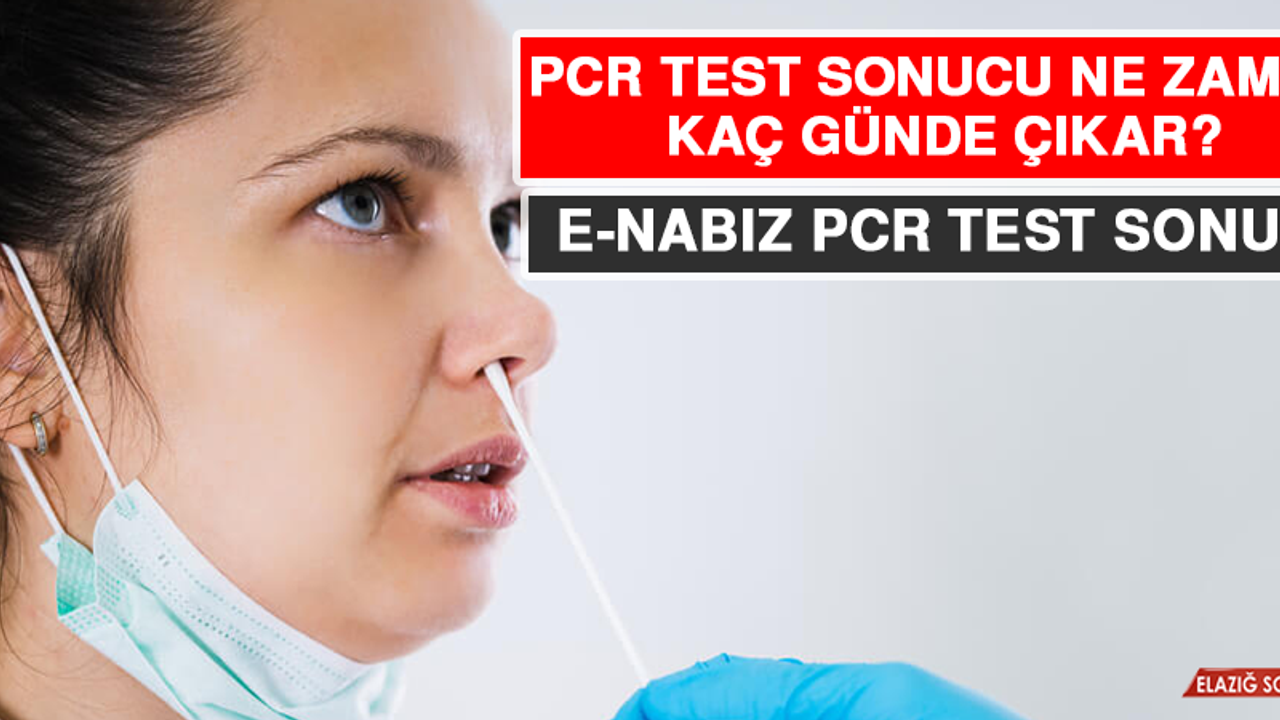 PCR Test Sonucu Ne Zaman, Kaç Günde Çıkar? Korona Test Sonucu Kaç Saatte Çıkar? E-Nabız Pcr Test Sonucu.
