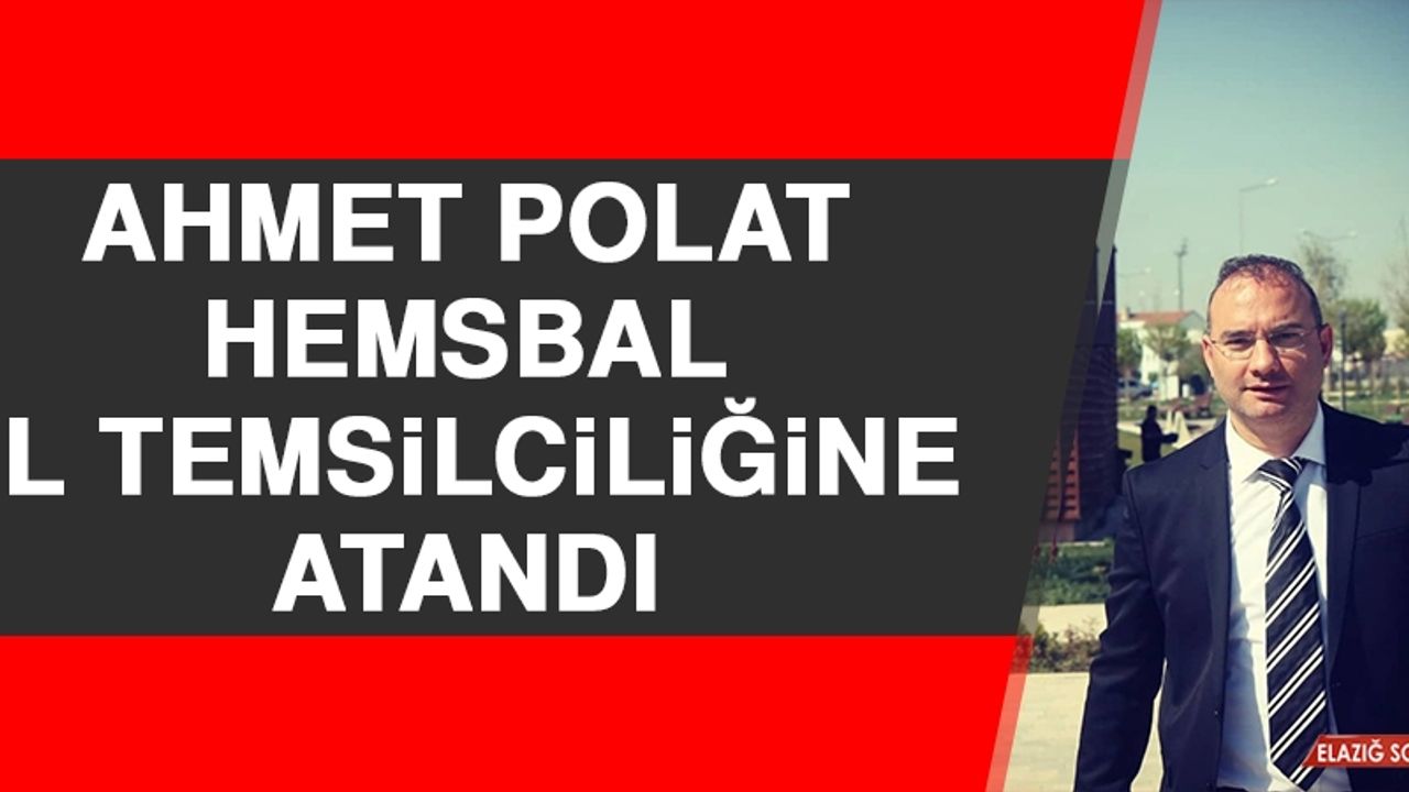 Ahmet Polat, Hemsbal İl Temsilciliğine Atandı