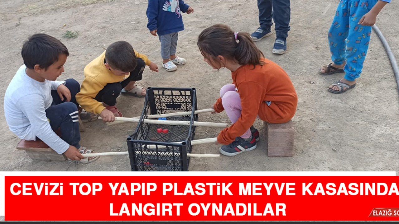 Cevizi Top Yapıp Plastik Meyve Kasasında Langırt Oynadılar  
