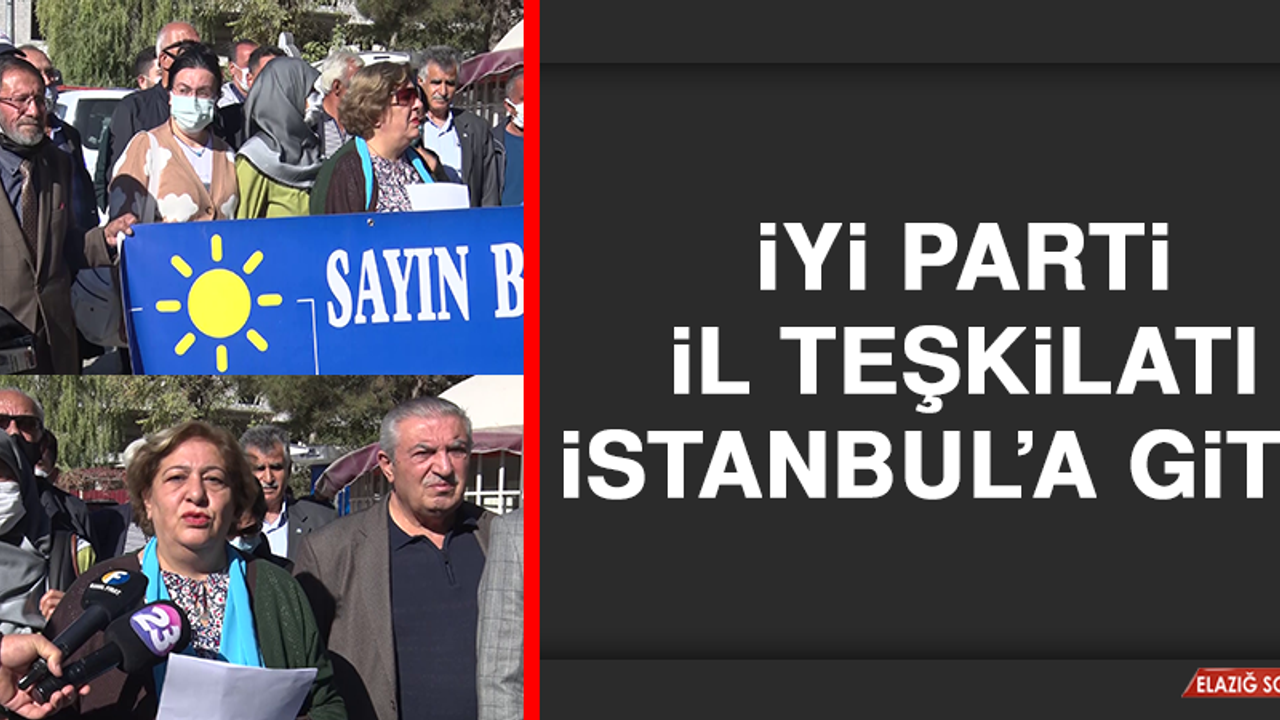 İYİ Parti İl Teşkilatı, İstanbul’a gitti