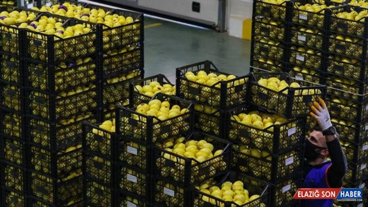 Limonda ihracat hedefi 300 milyon dolar