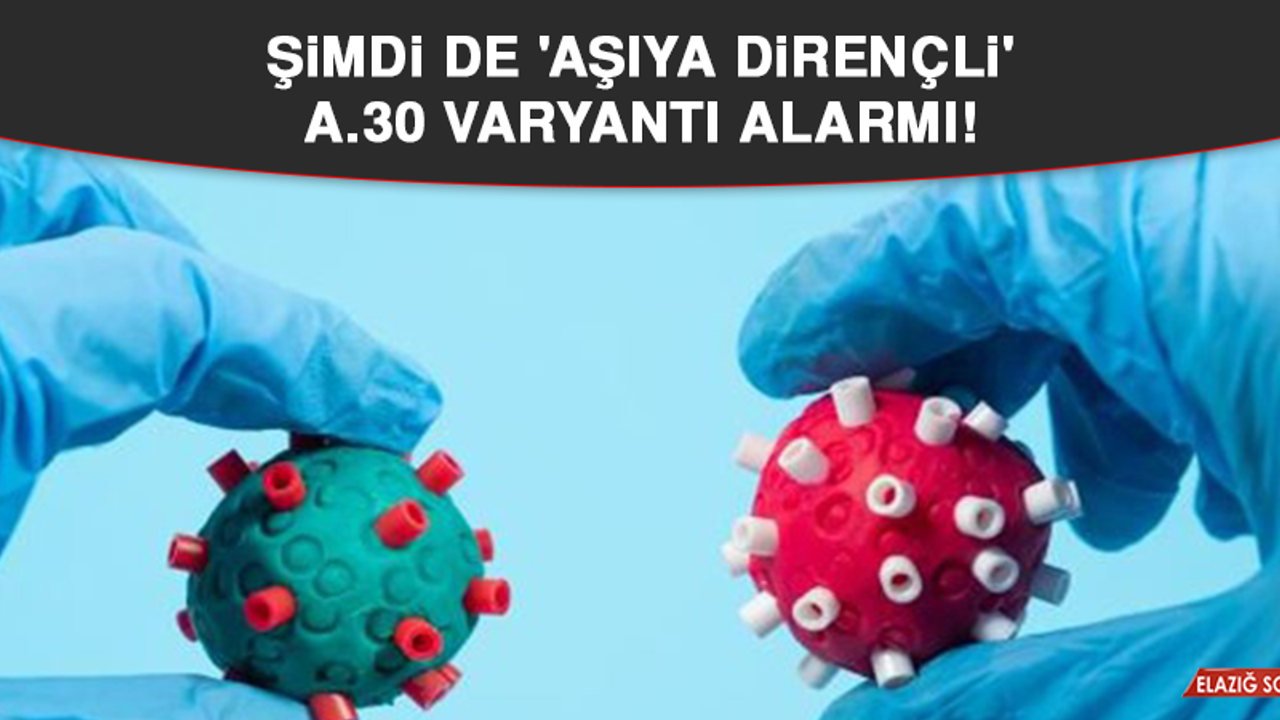 Şimdi de 'aşıya dirençli' A.30 varyantı alarmı!