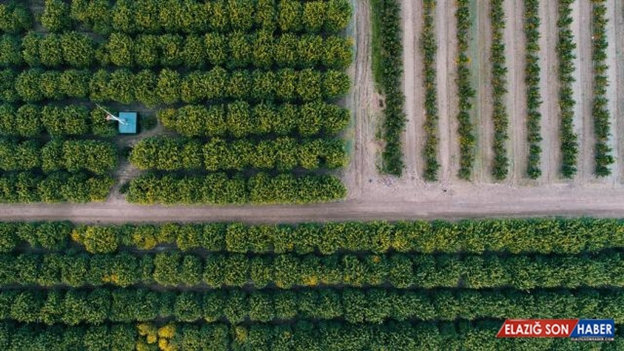 Tarıma 2022 yılı için ayrılan bütçe yüzde 25,5 artırıldı