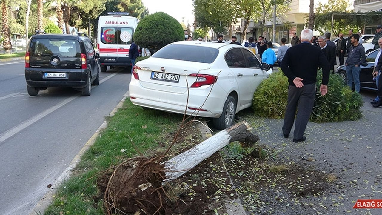 Adıyaman'da 5 Araçlı Zincirleme Kaza: 2 Yaralı  