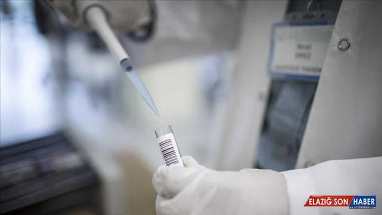 Antikor seviyesi düşüyor: 3'üncü doz kimlere uygulanmalı?