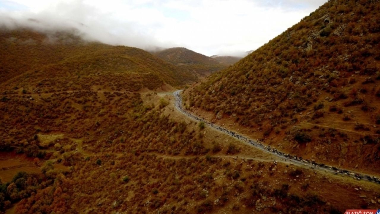 Bitlis'te göçerlerin dönüş yolculuğu sürüyor