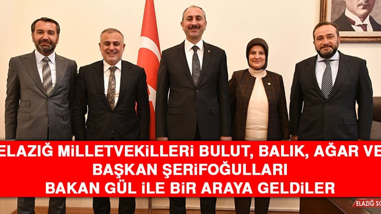 Elazığ Milletvekilleri Bulut, Balık, Ağar ve Başkan Şerifoğulları Bakan Gül İle Bir Araya Geldiler
