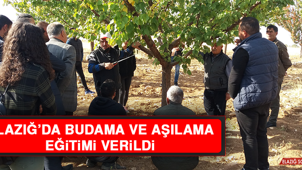 Elazığ’da Budama ve Aşılama Eğitimi Verildi