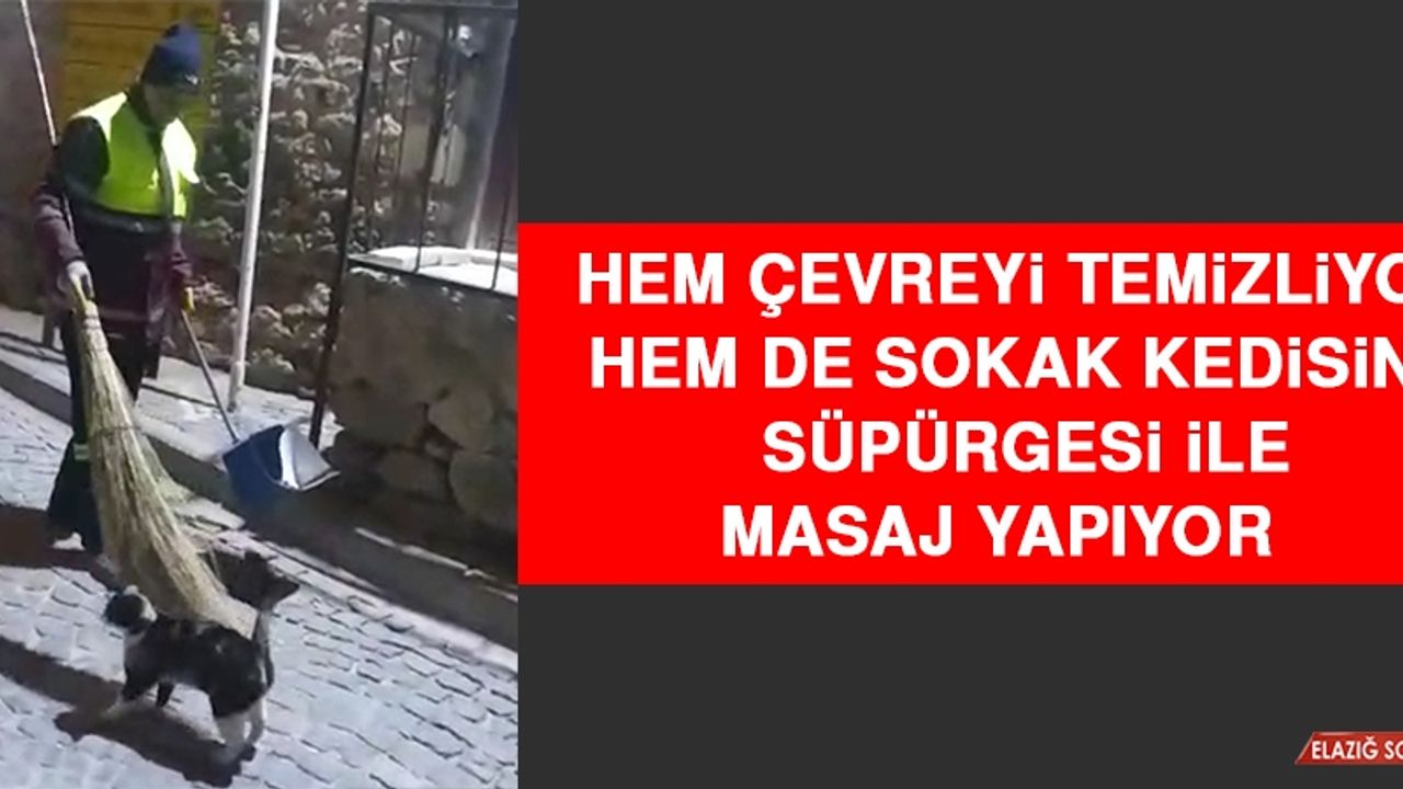 Hem Çevreyi Temizliyor Hem De Sokak Kedisine Süpürgesi İle Masaj Yapıyor 