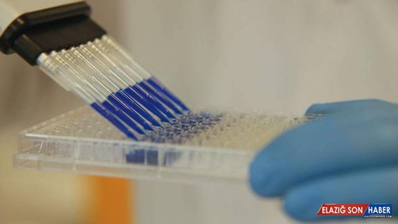 Kimya sektöründen 10 ayda 20 milyar dolar ihracat