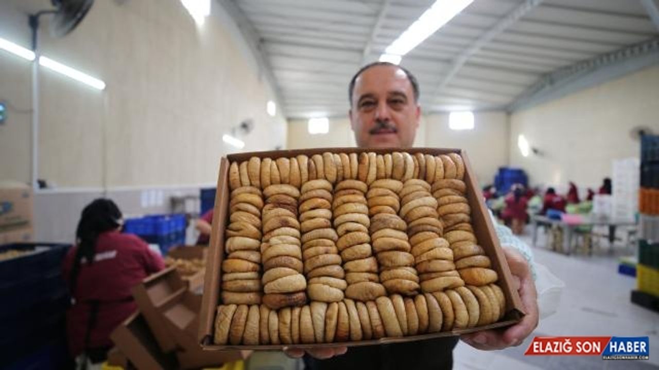 Kuru incirde 1 ayda 68 milyon dolarlık ihracat