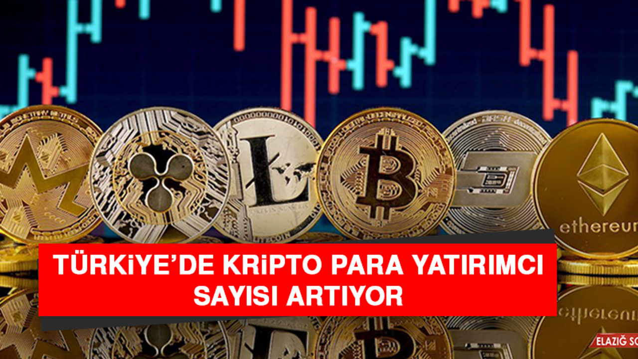 Türkiye’de Kripto Para Yatırımcı Sayısı Artıyor