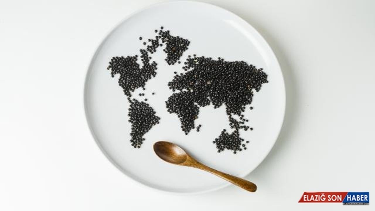 Bir doğa ve insan düşmanı: Planlı eskitme