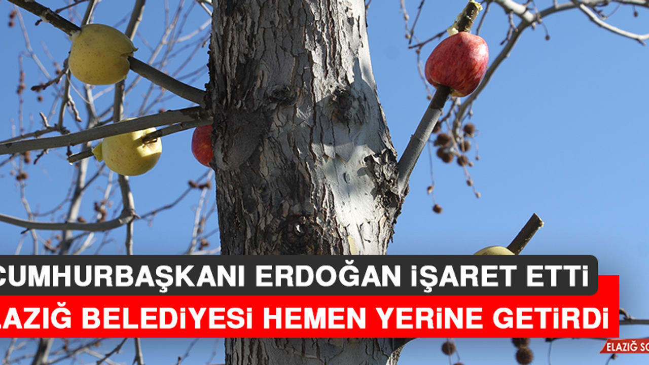 Cumhurbaşkanı Erdoğan İşaret Etti, Elazığ Belediyesi Hemen Yerine Getirdi