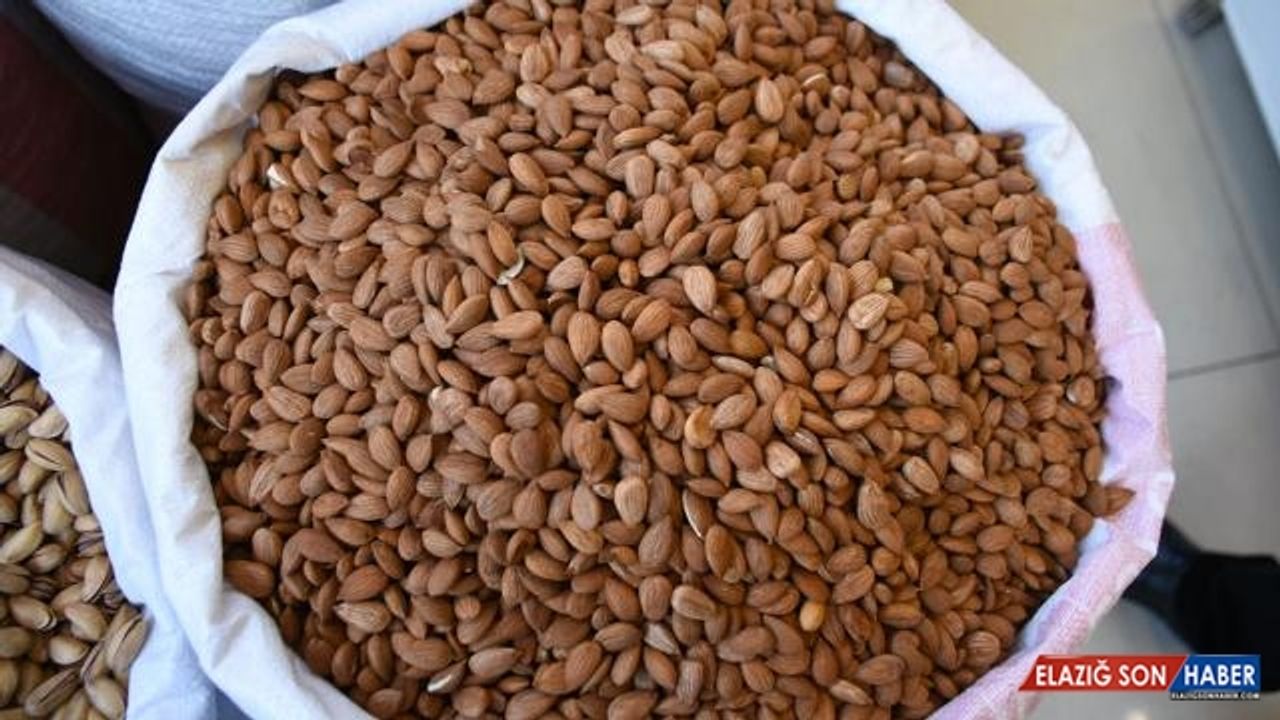 Kayısı çekirdeği 11 ayda 14,9 milyon dolar kazandırdı