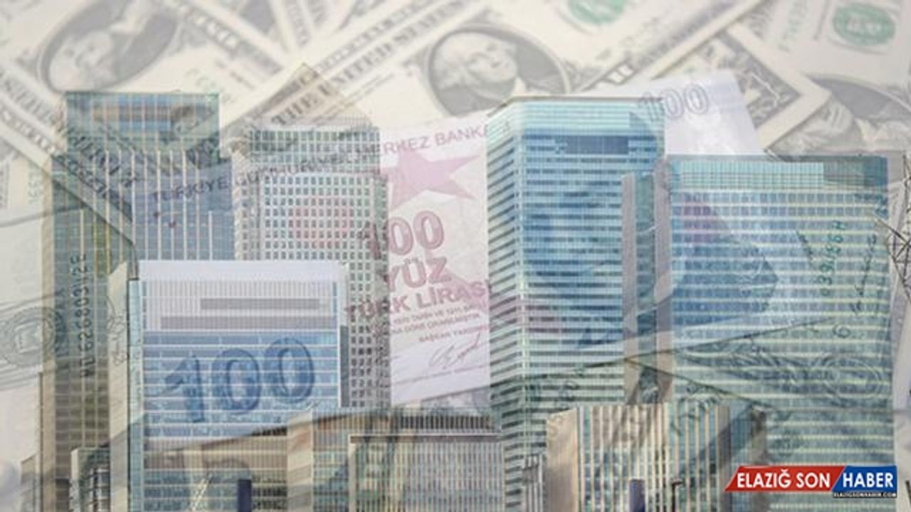 Merkez Bankası'ndan doğrudan döviz müdahalesi