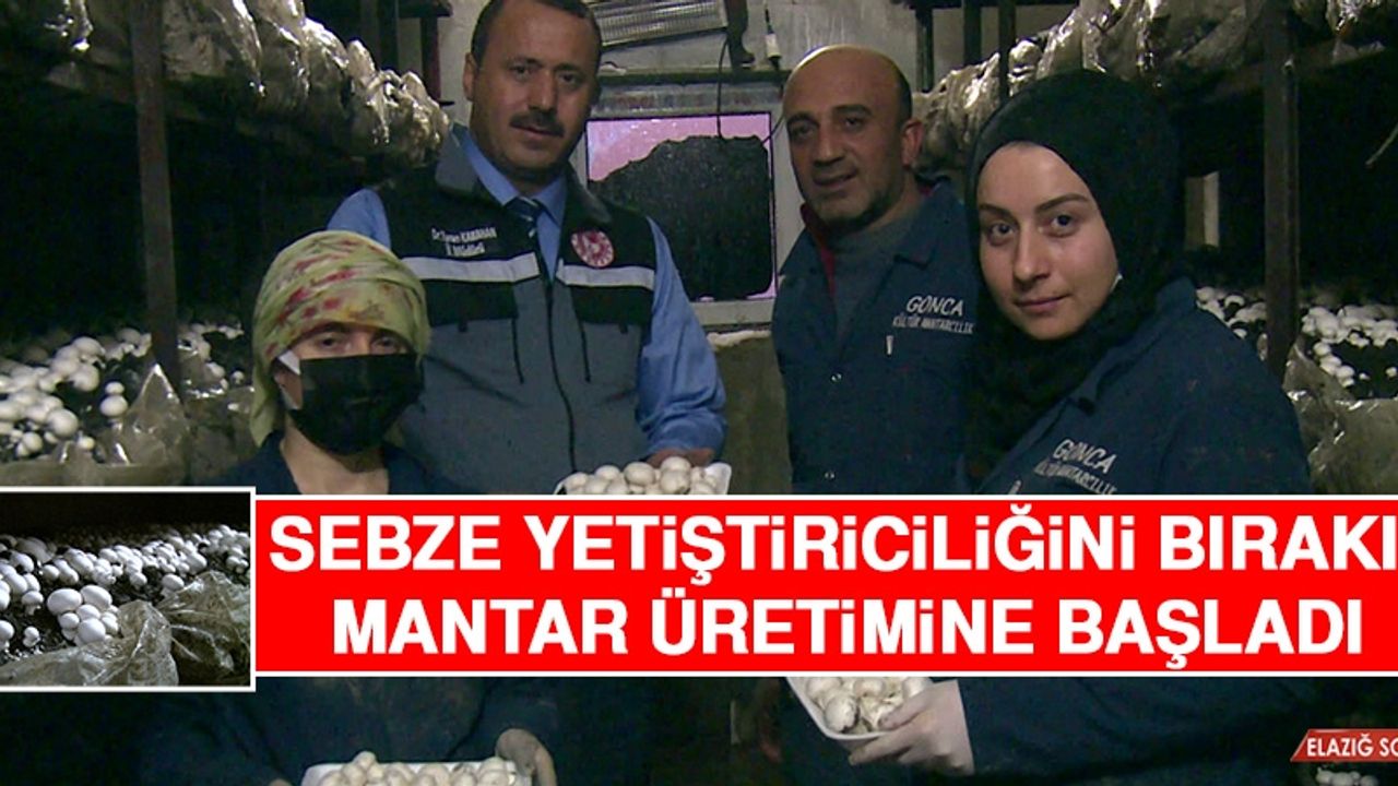 Sebze Yetiştiriciliğini Bırakıp, Mantar Üretimine Başladı