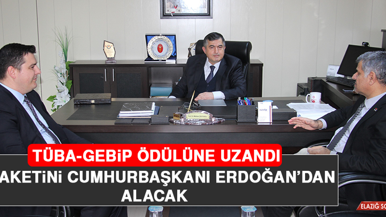 TÜBA-GEBİP Ödülüne Uzandı, Plaketini Cumhurbaşkanı Erdoğan'dan Alacak