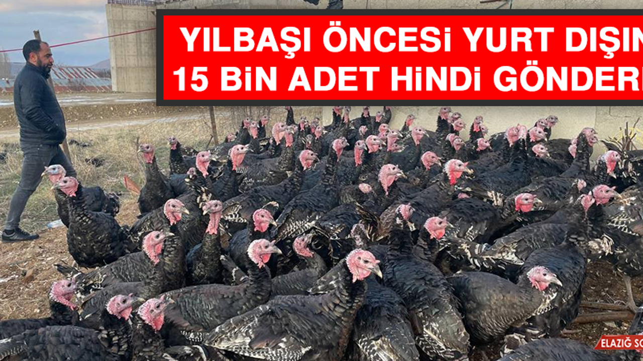Yılbaşı Öncesi Yurt Dışına 15 Bin Adet Hindi Gönderdi