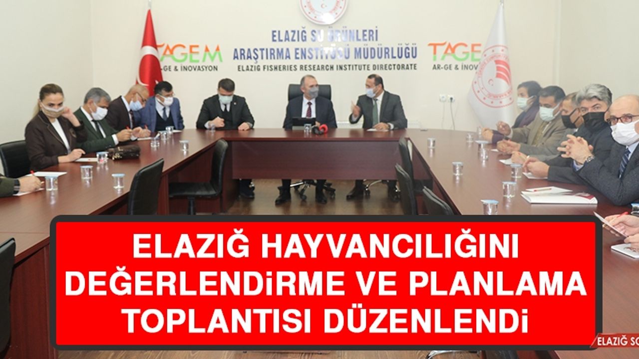 Elazığ Hayvancılığını Değerlendirme ve Planlama Toplantısı Düzenlendi