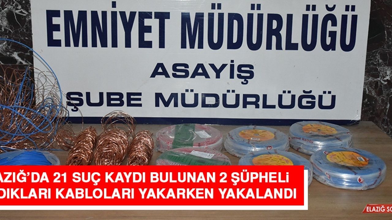 Elazığ’da 21 Suç Kaydı Bulunan 2 Şüpheli, Çaldıkları Kabloları Yakarken Yakalandı