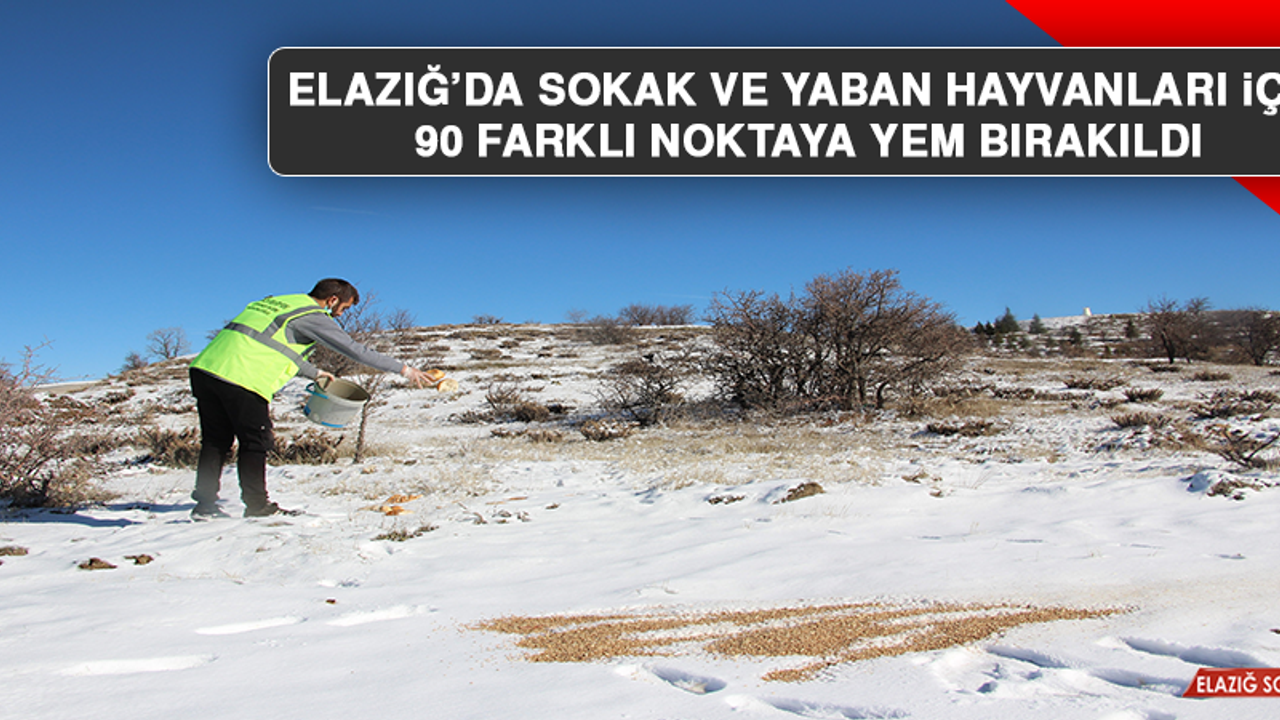 Elazığ’da Sokak ve Yaban Hayvanları İçin 90 Farklı Noktaya Yem Bırakıldı