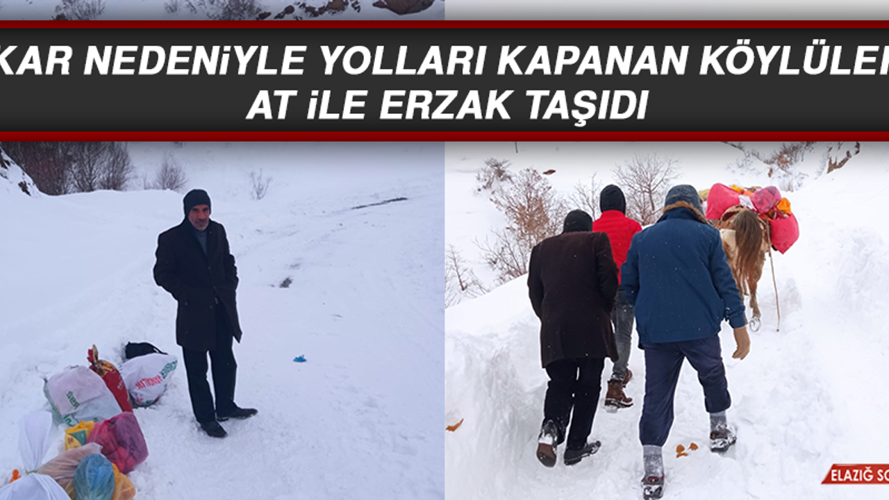 Kar Nedeniyle Yolları Kapanan Köylüler At İle Erzak Taşıdı
