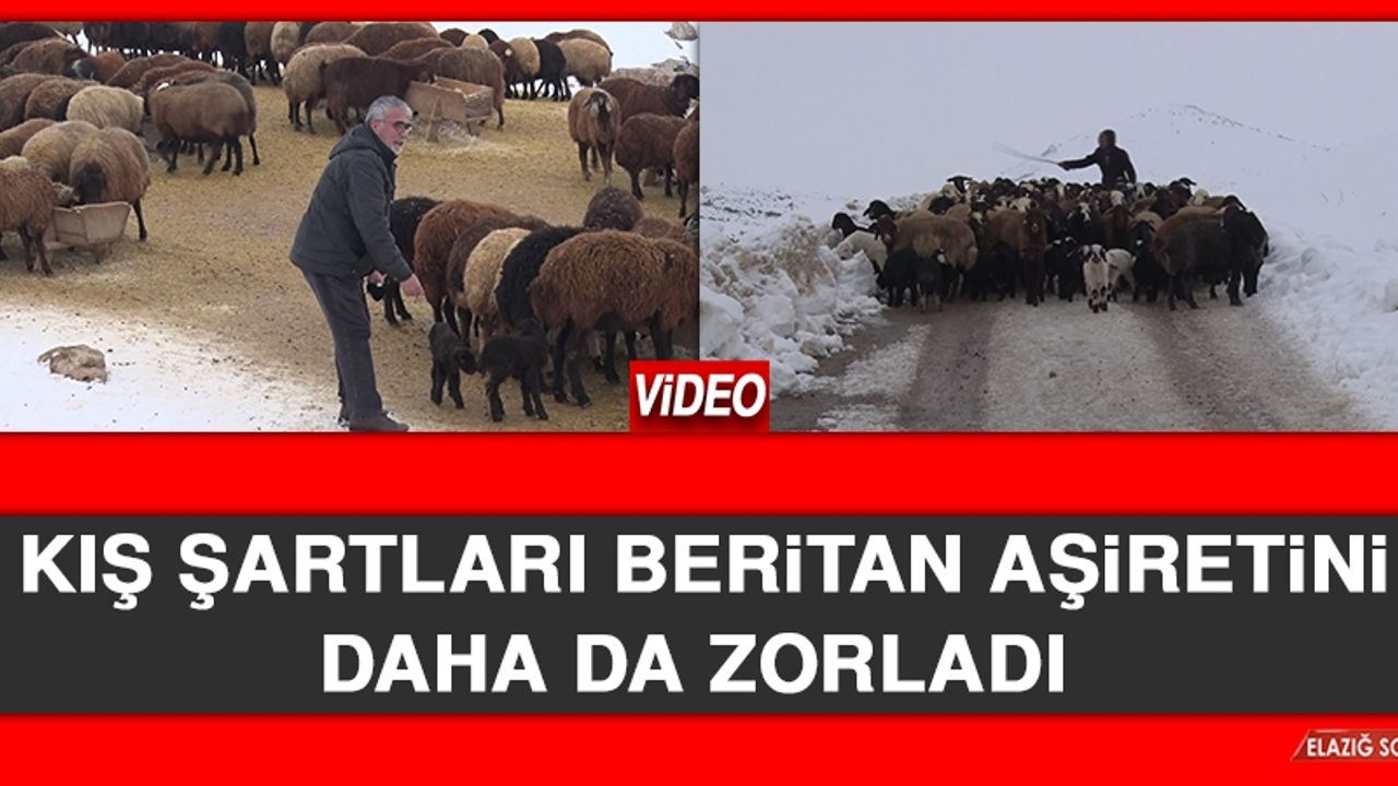 Kış Şartları Beritan Aşiretini Daha da Zorladı