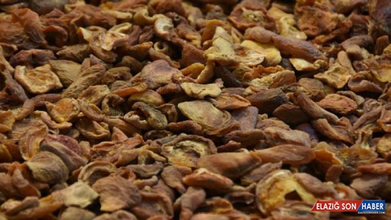 Malatya'dan 115 ülkeye kayısı ihracatı