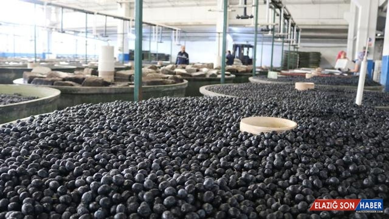 Marmarabirlik'ten 258 milyon lira kredi tahsisatı