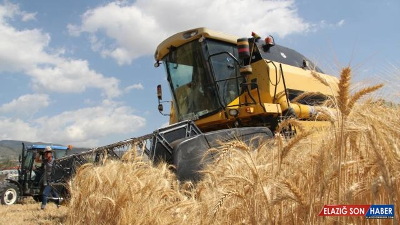 Tarımsal girdi fiyat endeksi Kasım 2021'de yüzde 8,52 arttı