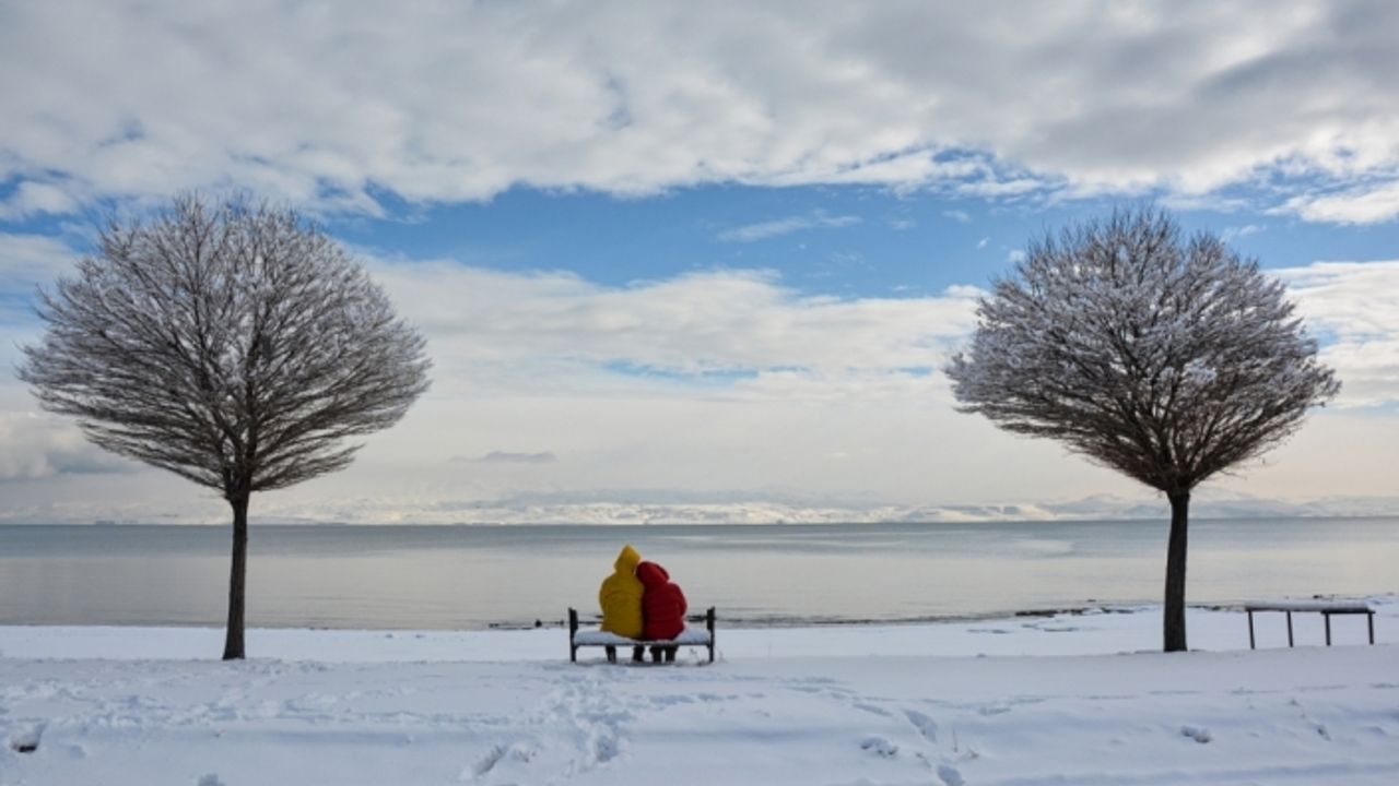 Van, Muş, Hakkari ve Bitlis'te 1064 yerleşim birimine ulaşım sağlanamıyor