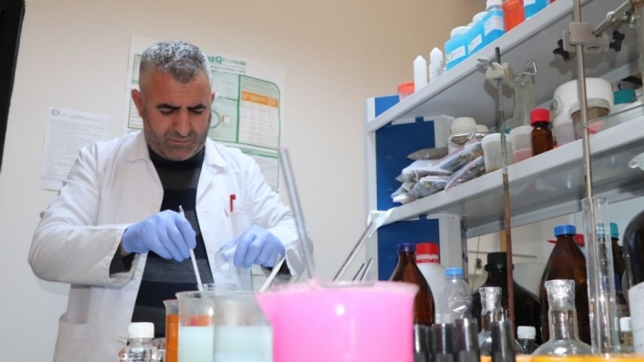 Ağrı Dağı eteğindeki volkanik arazide yüksek değerli lavanta yetiştirildi