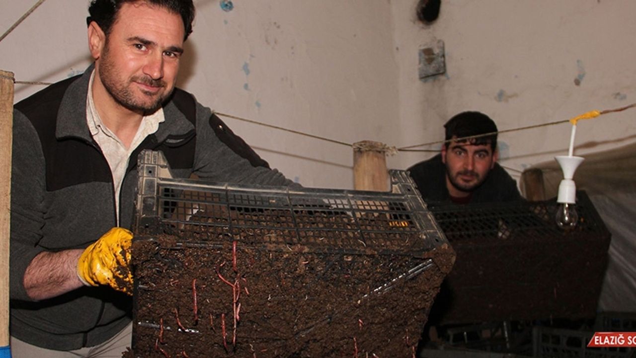 Dedesine Ait İki Katlı Evde Solucan Gübresi Üretiyor  